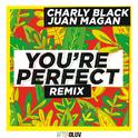 You're Perfect (Remix)专辑