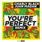You're Perfect (Remix)专辑