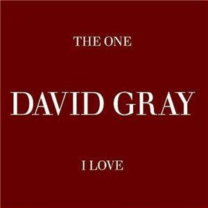 David Gray - The One I Love （升4半音）