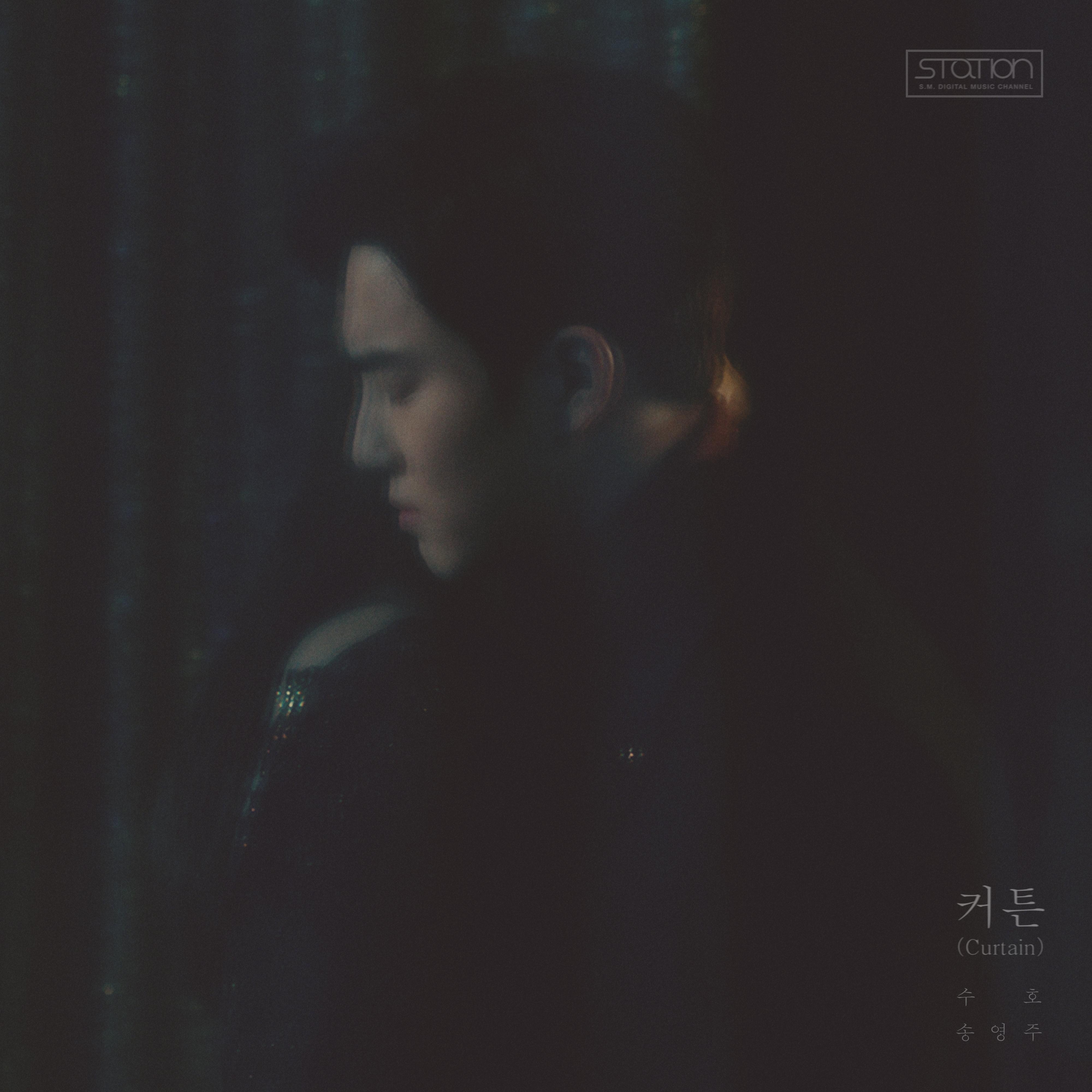 帘幕 (Curtain) - SM STATION