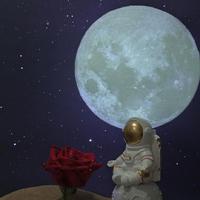 十二月的奇迹 无和声 原版伴奏