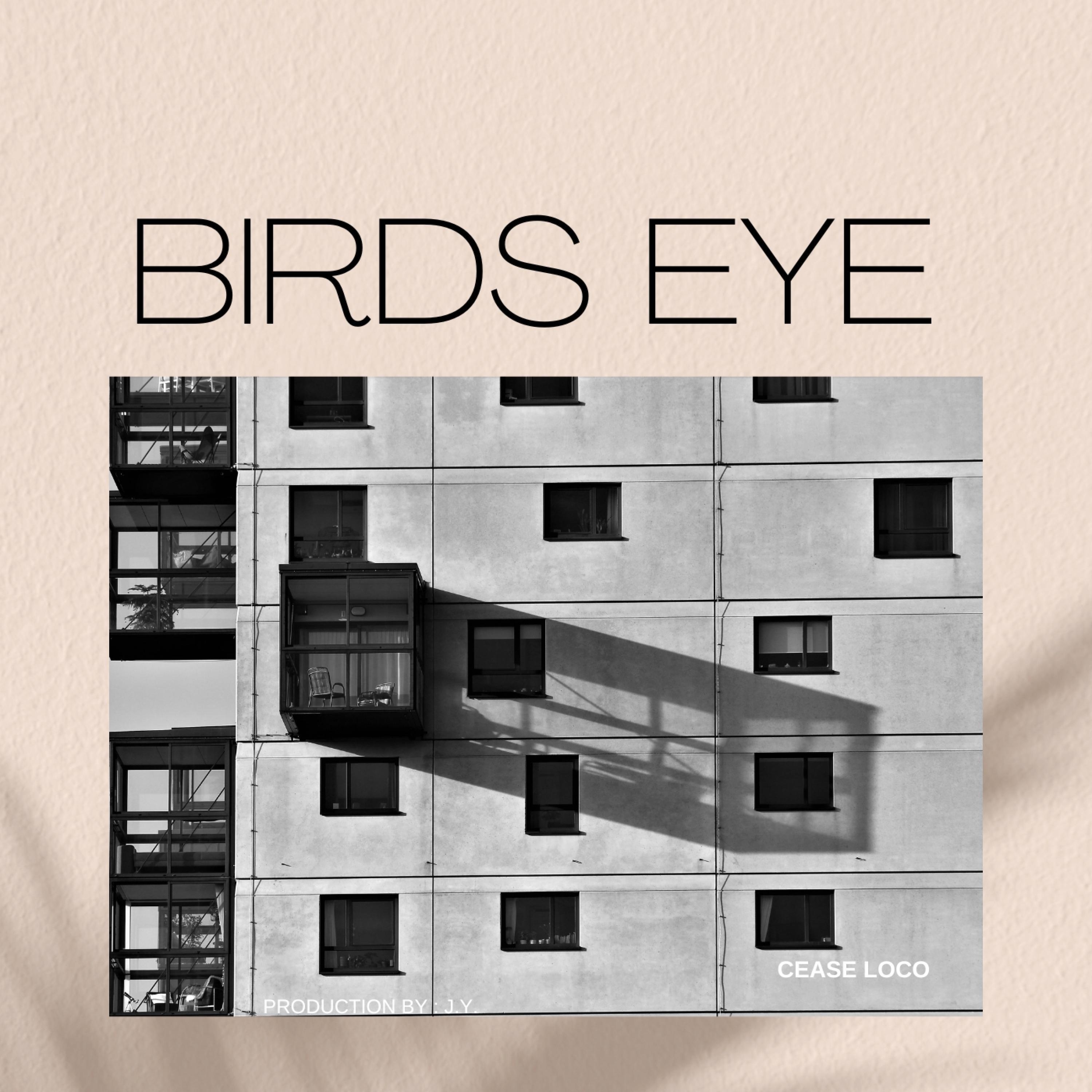 J.Y. - Birds Eye (feat. Cease Loco)