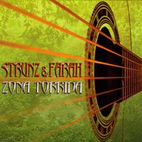 原版伴奏   Raiz Y Flor - Strunz & Farah (instrumental) [无和声]