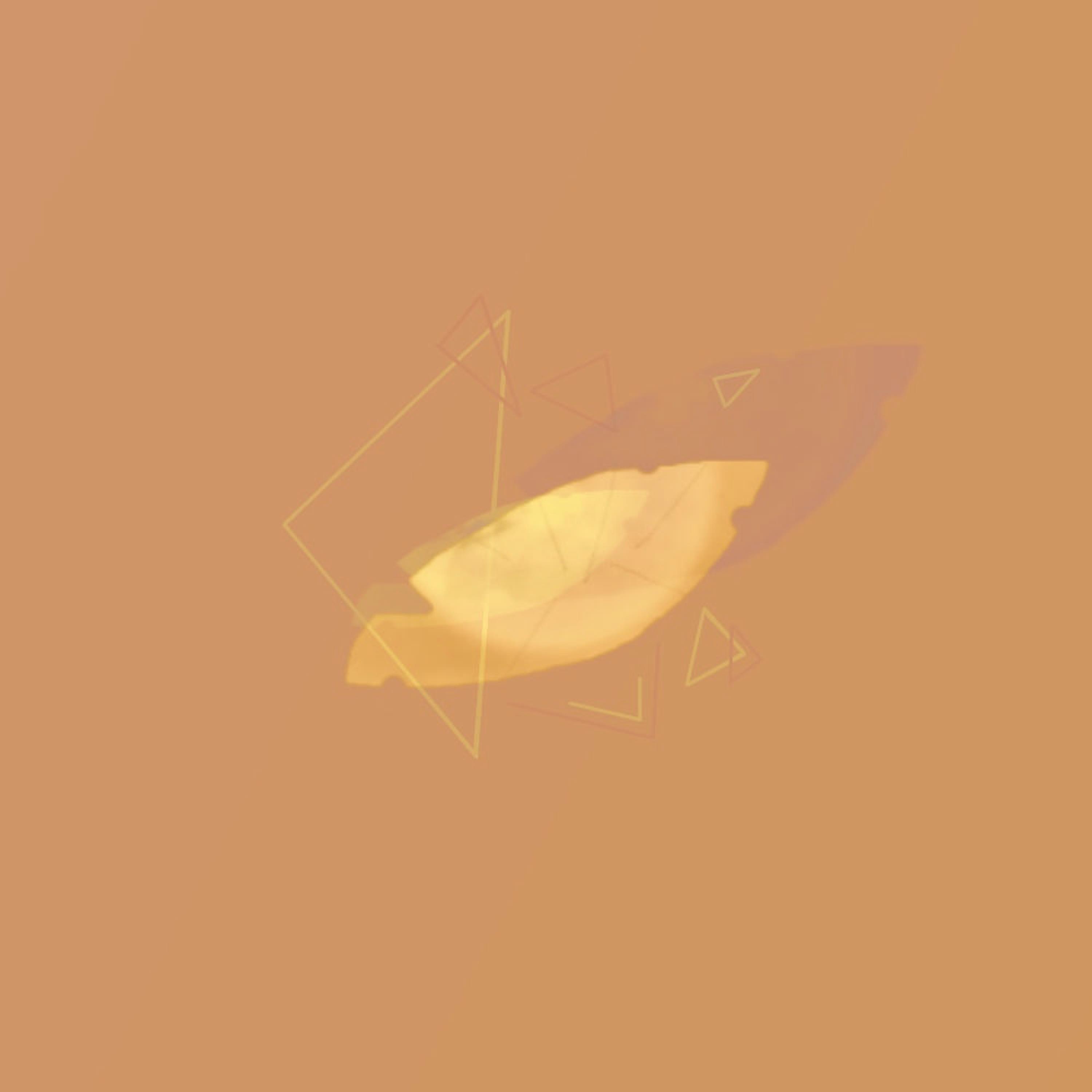 LOVER'S EYE