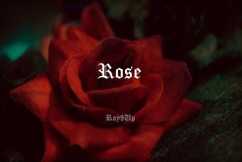 ROSE专辑