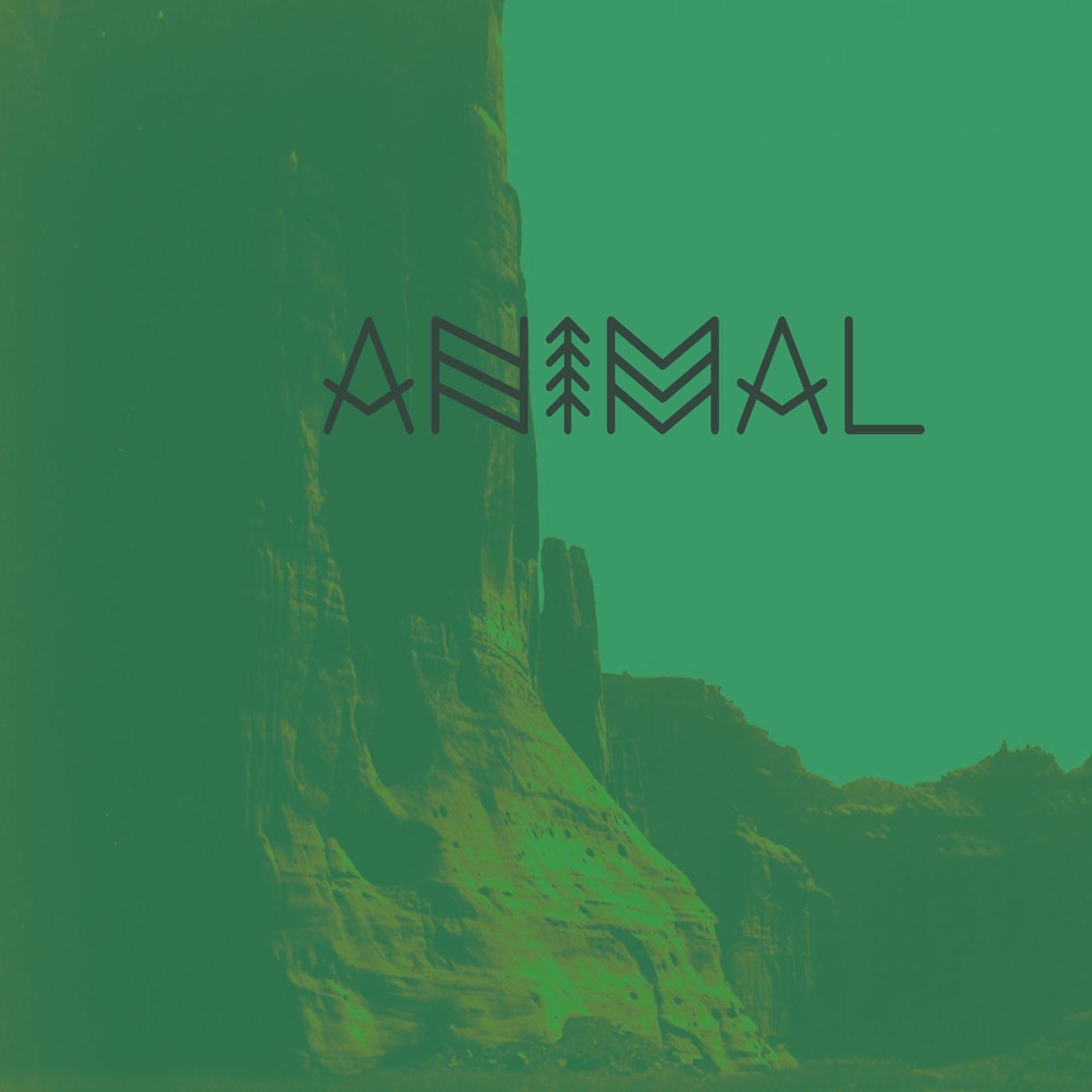 Animal (feat. Jamie Drake)