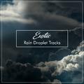 #16 Exotic Rain Droplet Tracks