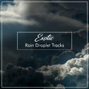 #16 Exotic Rain Droplet Tracks专辑