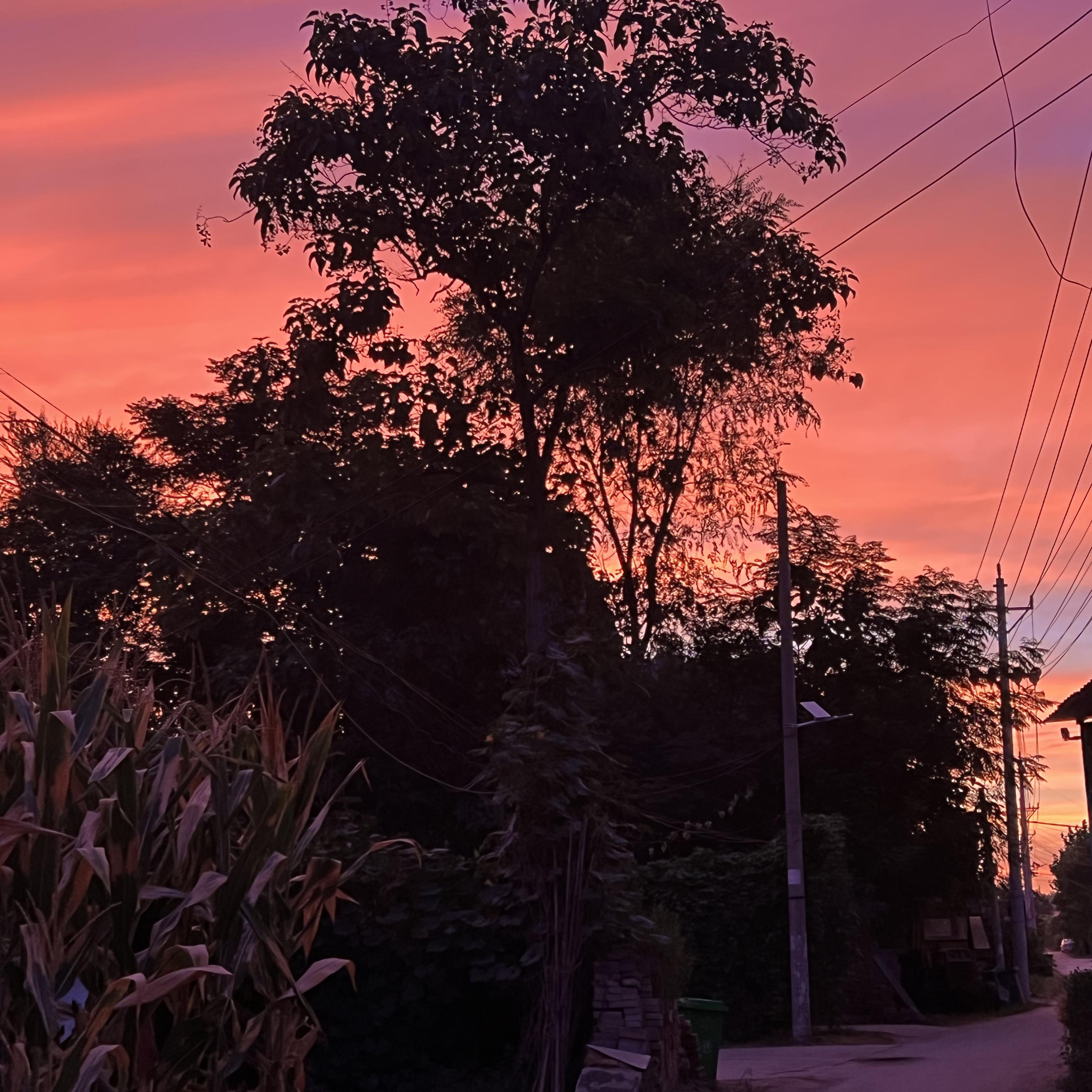 Don't Push Me (BGM版）