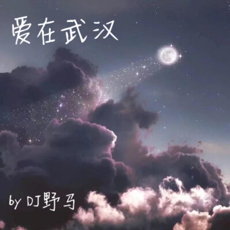 爱在武汉
