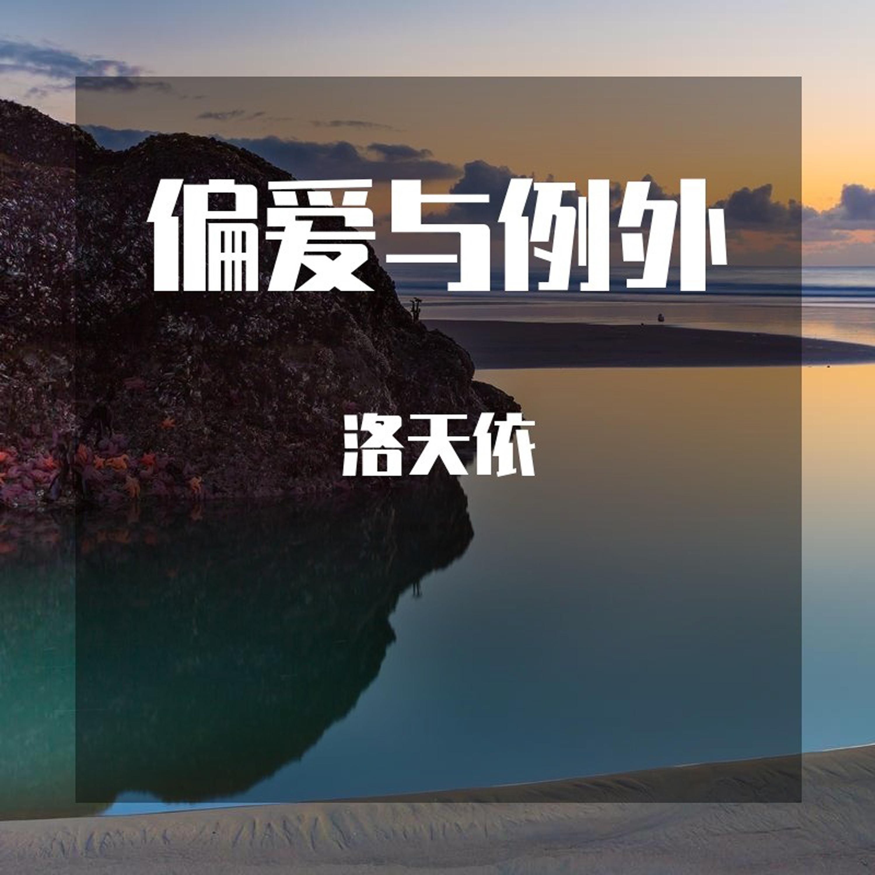 偏爱与例外