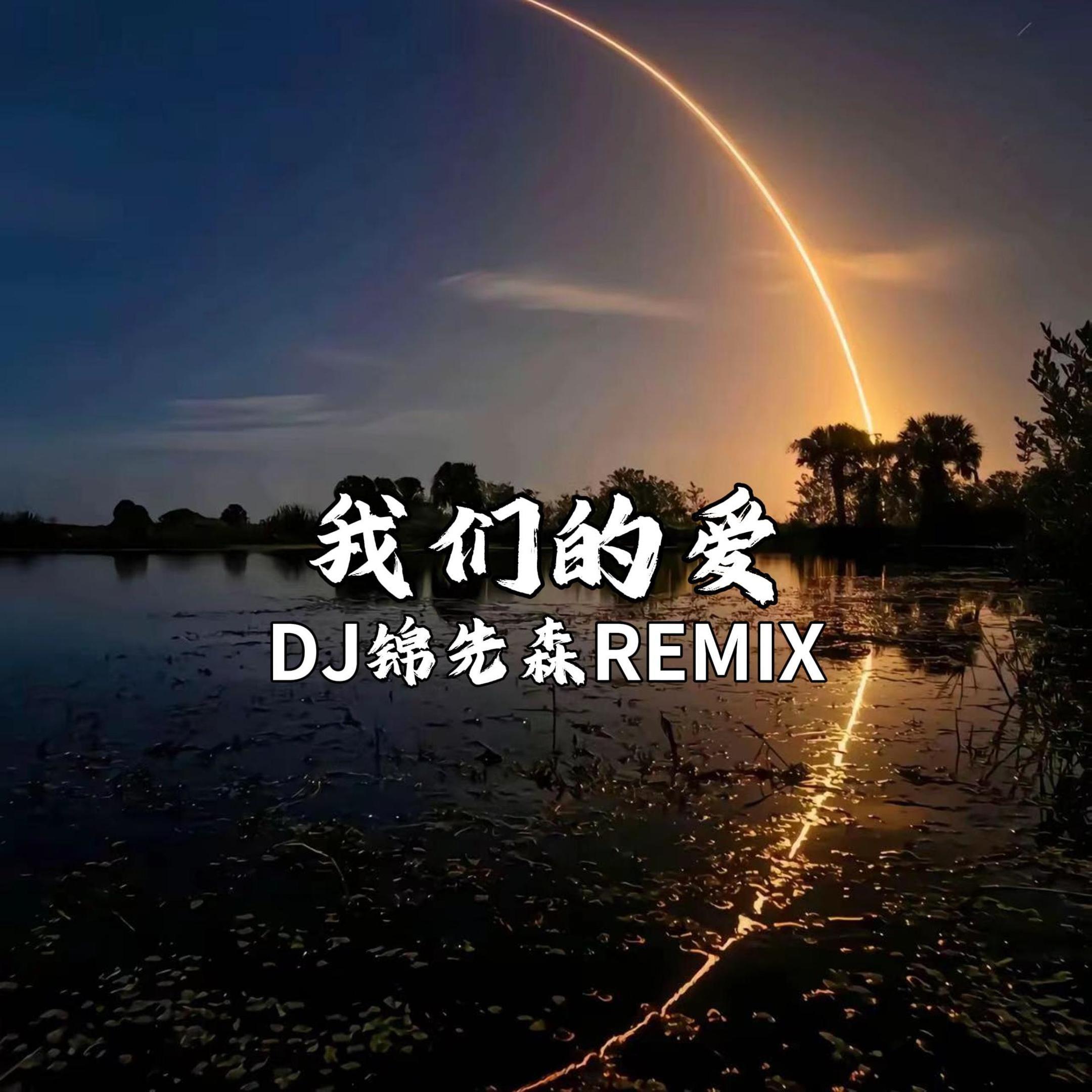 我们的爱（DJ锦先森 Remix）