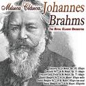 Música Clásica: Johannes Brahms专辑