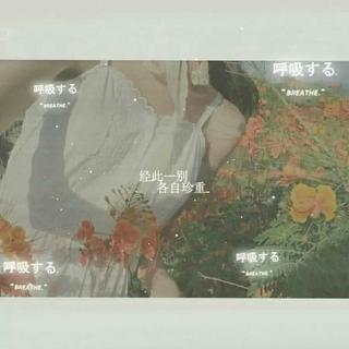 刷作业必备歌（清新，醒脑，静心）