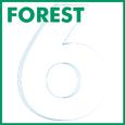 Forest 6