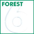 Forest 6