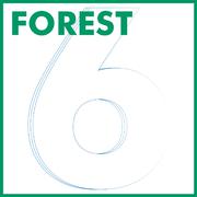 Forest 6