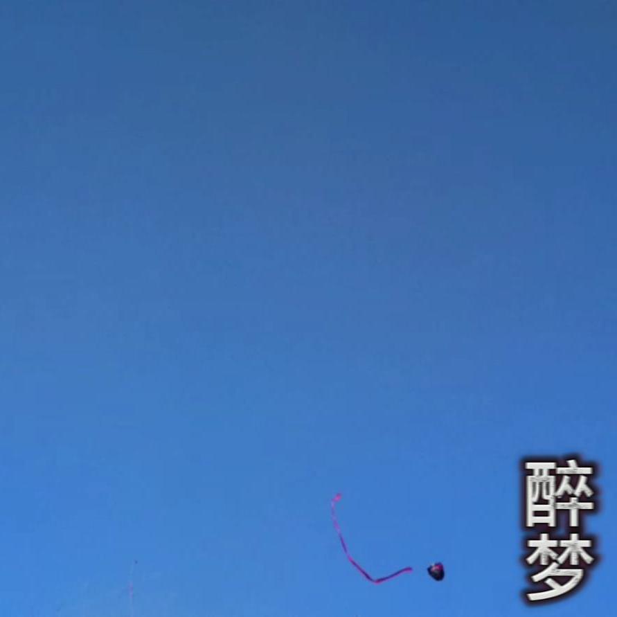 醉梦