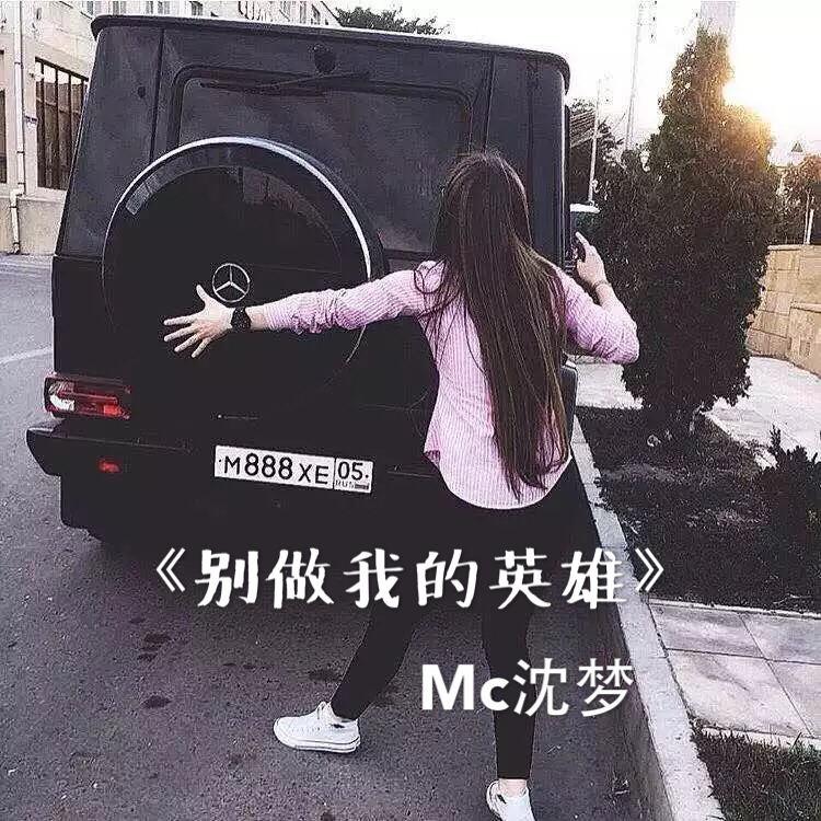 别做我的英雄专辑