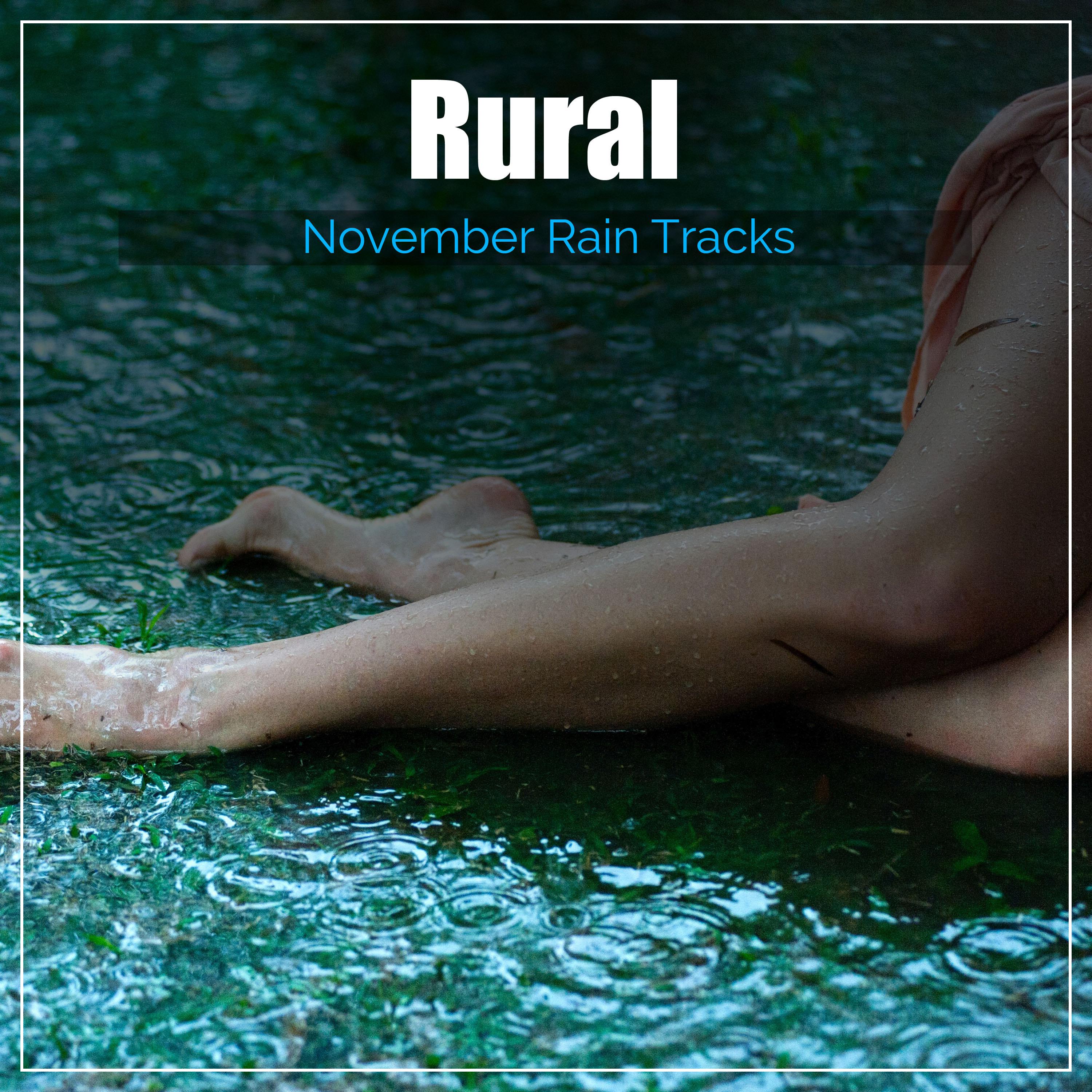 #21 Rural November Rain Tracks专辑