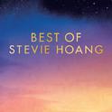 Best of Stevie Hoang专辑