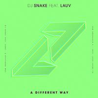 Dj Snake Ft Lauv - A Different Way (Transition 80-105 Clean) 105