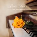 Piano Calming Sleeping Lullabies 2019专辑