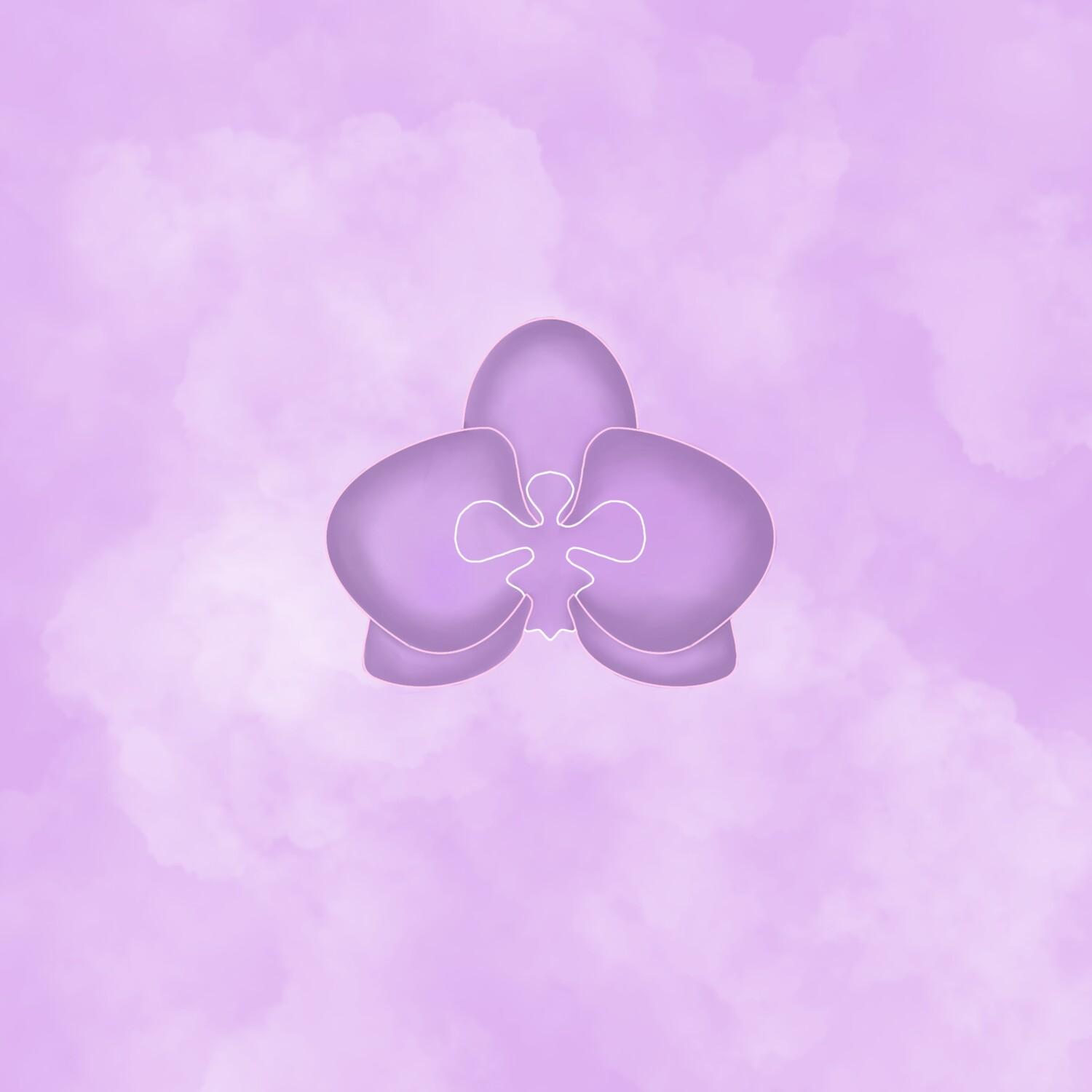 Orchidee