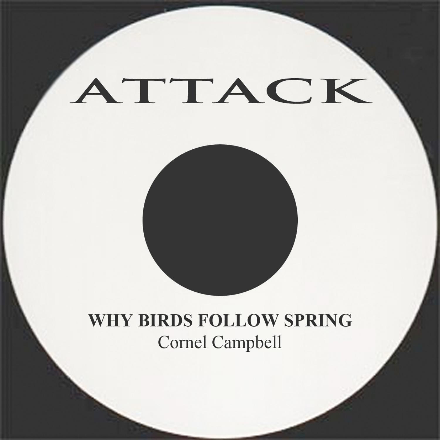 Why Birds Follow Spring