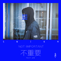 不重要 (Not Important)