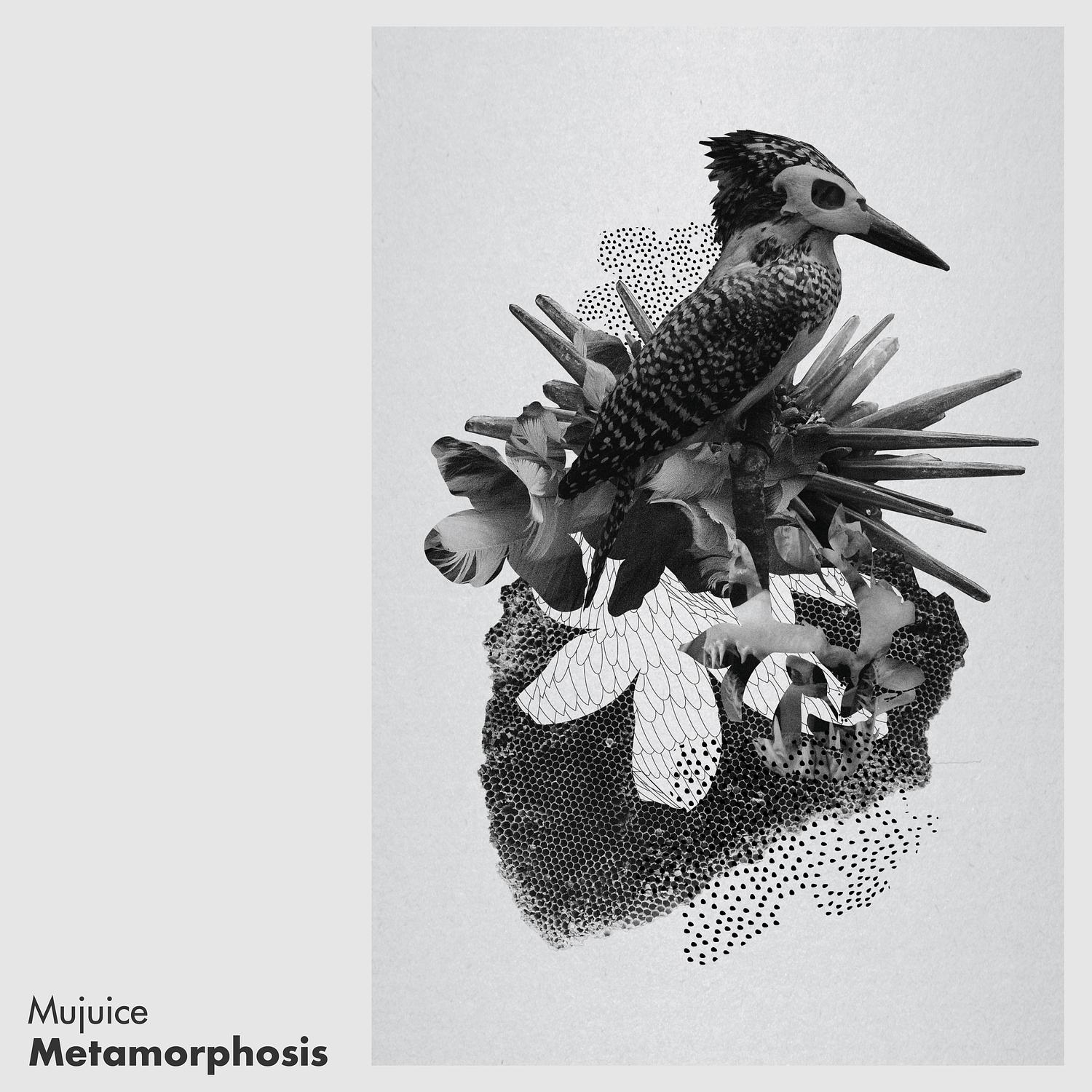 Metamorphosis