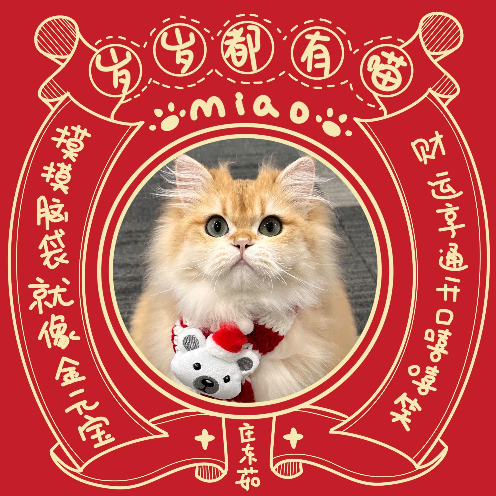 庄东茹（豆芽鱼）歌曲封面