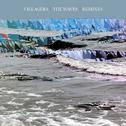 The Waves (Remixes)专辑