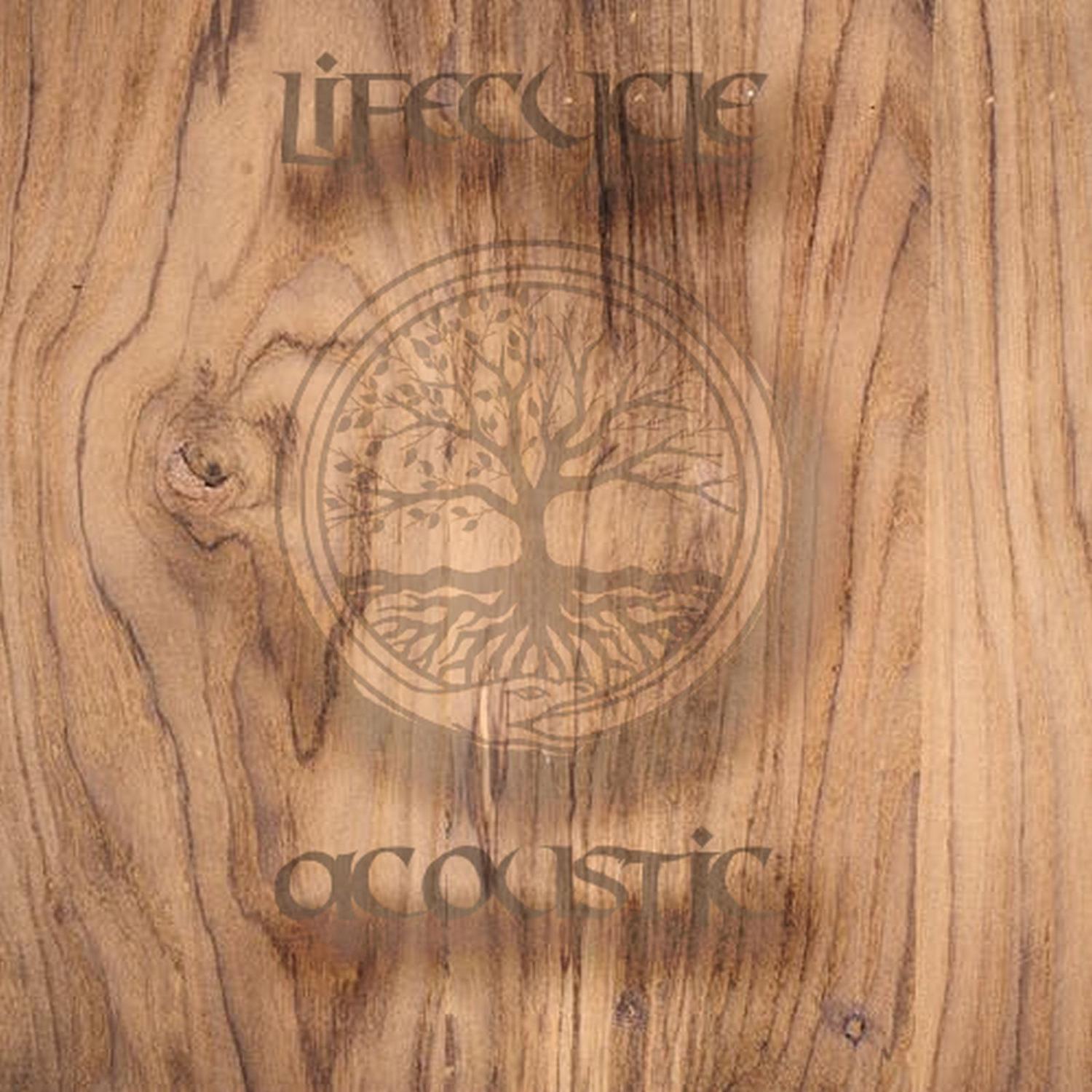 Lifecycle (Acoustic Version)