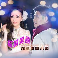 你的美丽我永远看不够(原版)刘乐强 李美 伴奏