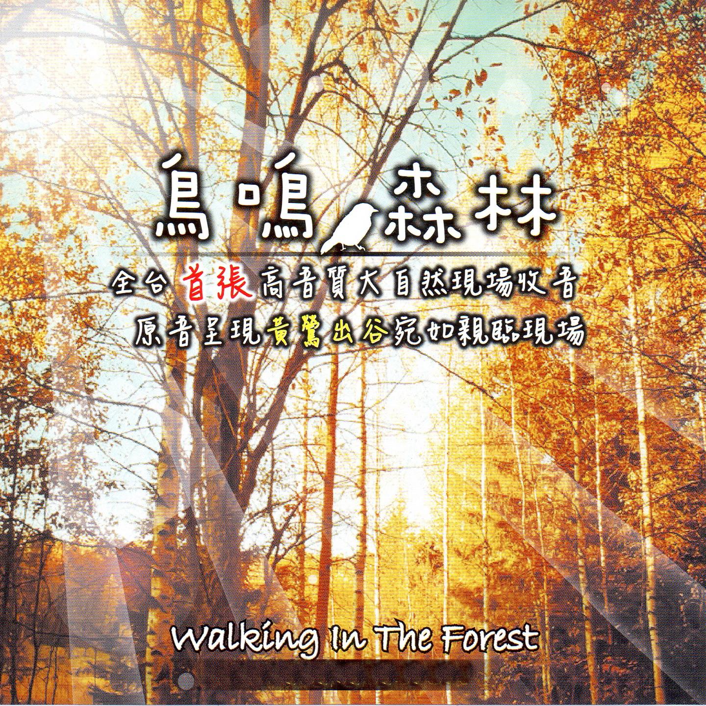 鳥鳴 森林 (高音質大自然現場錄音原音呈現)