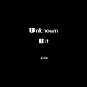 Unknown bit专辑