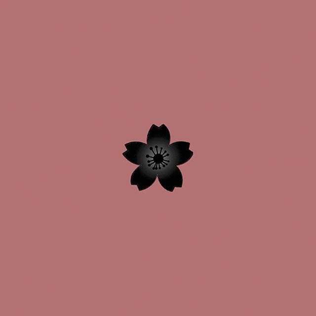 烂桃花专辑