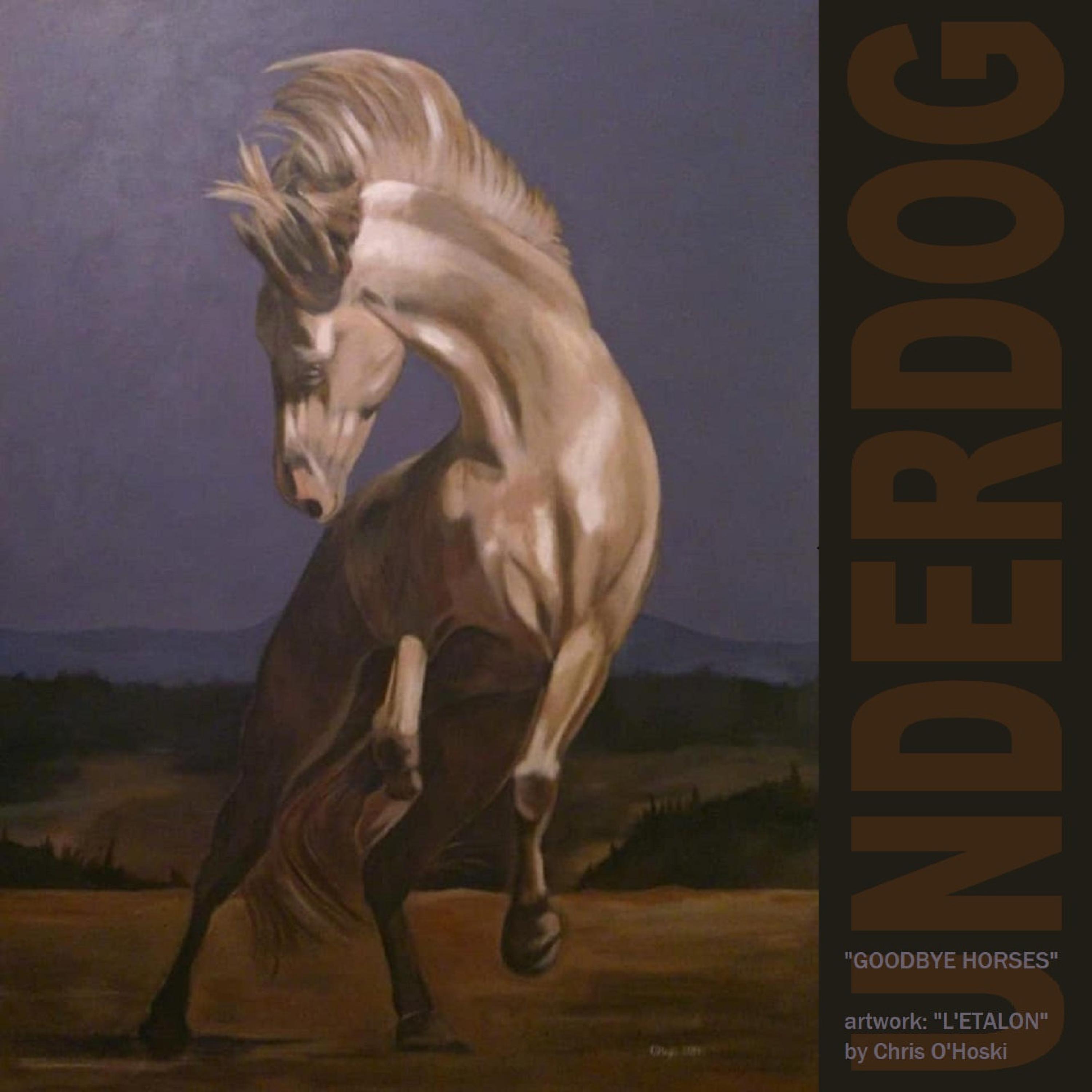 Goodbye Horses