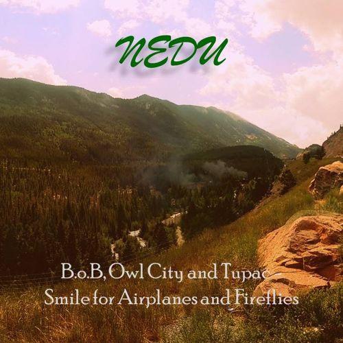 Smile For Airplanes And Fireflies (Nedu Mix)专辑