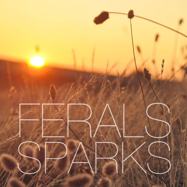 Sparks