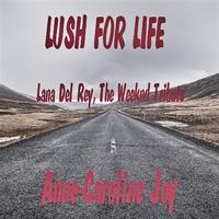 Lust For Life - Lana Del Rey & The Weeknd (karaoke)