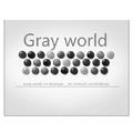 Gray world