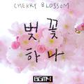 벚꽃 (Cherry Blossom)