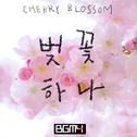 벚꽃 (Cherry Blossom)专辑