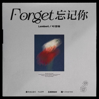 Forget忘记你 （原版立体声）