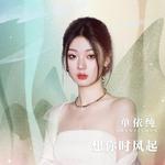 想你时风起专辑