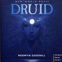 Druid专辑