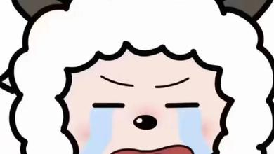 懒咩咩a