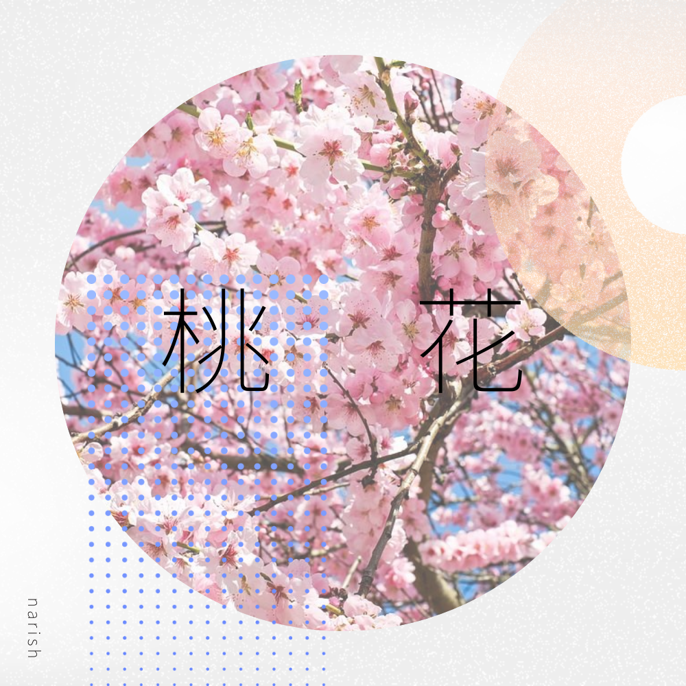 桃花